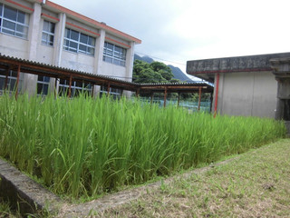 Cimg5275