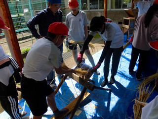 Scimg1525