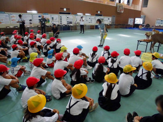 Scimg1559