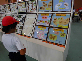 Scimg1576
