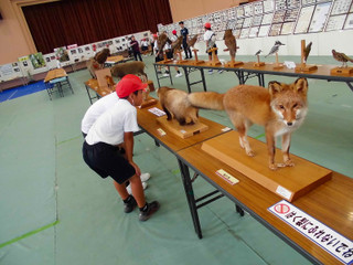 Scimg1577