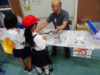 Scimg1580