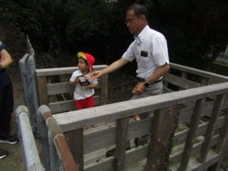Img_5395 Img_5395
