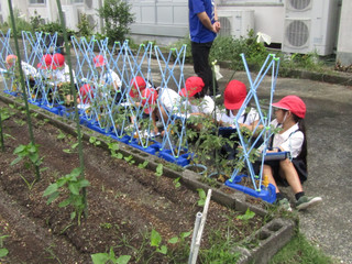 Img_5468 Img_5468