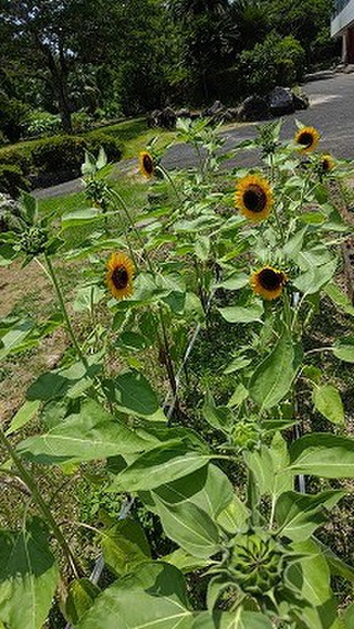 Sp_20260727_131153 Sp_20260727_131153