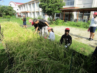 Simg_6529 Simg_6529