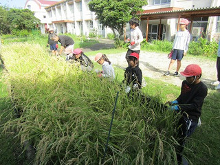Simg_6532 Simg_6532