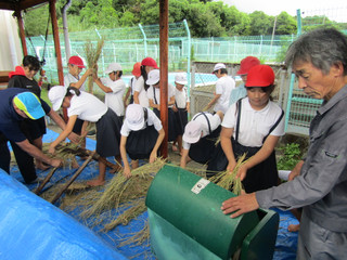 Img_6710 Img_6710