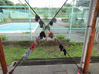 Img_6716 Img_6716